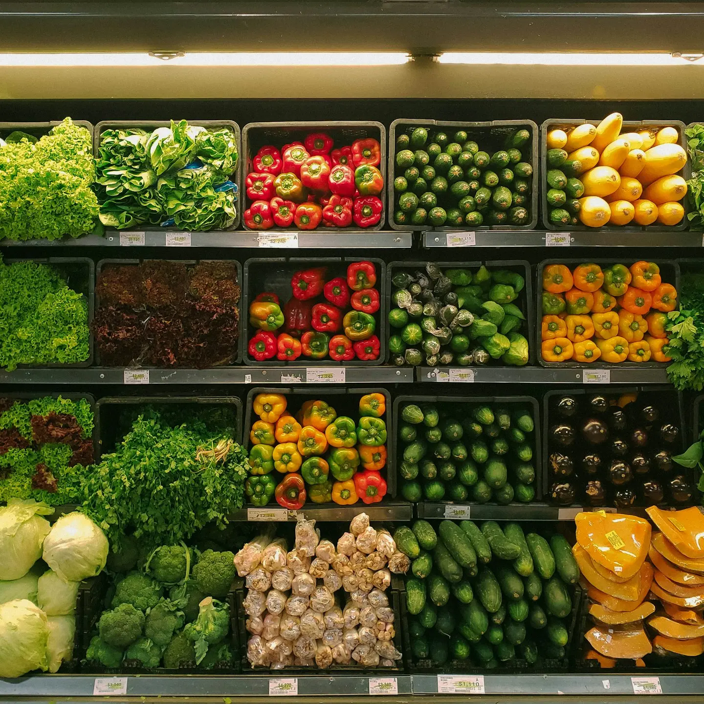 bunch of vegetables